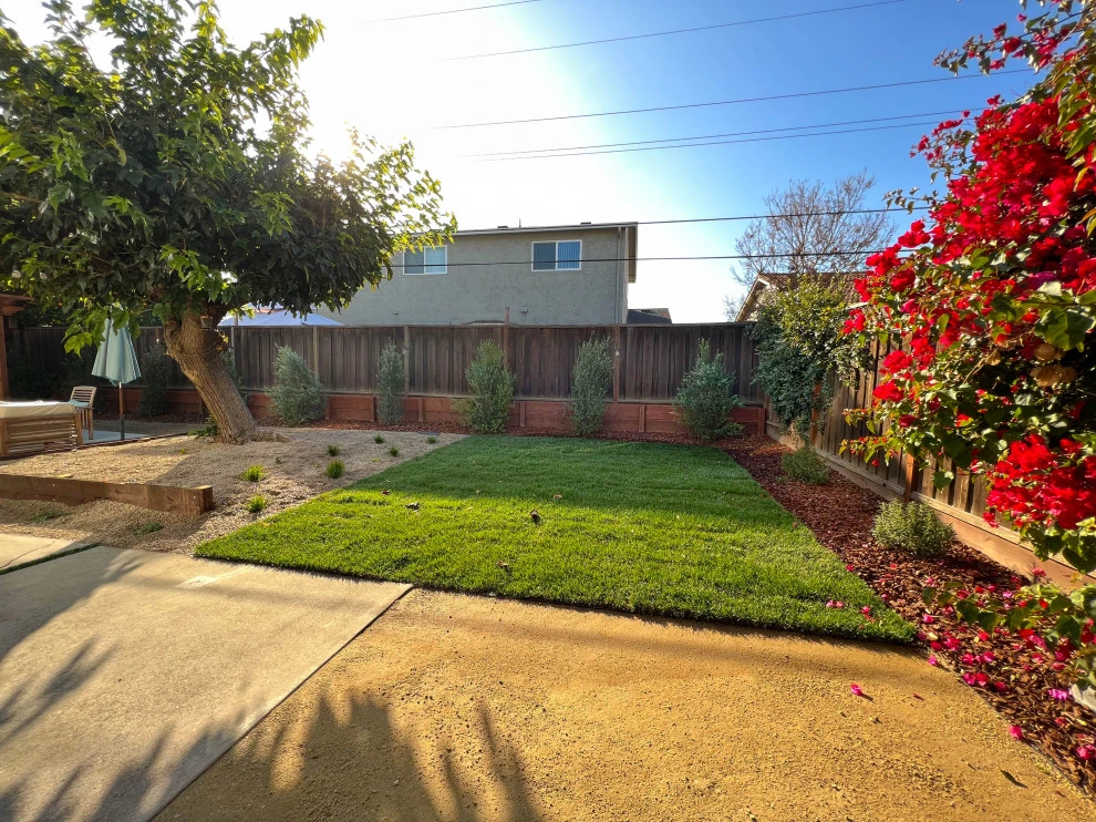 Backyard Remodel (Granite, Mulch, Outdoor Lighting, Grass, Turf, Shrubs) by San Jose Tree Service & Landscaping - Photo 3