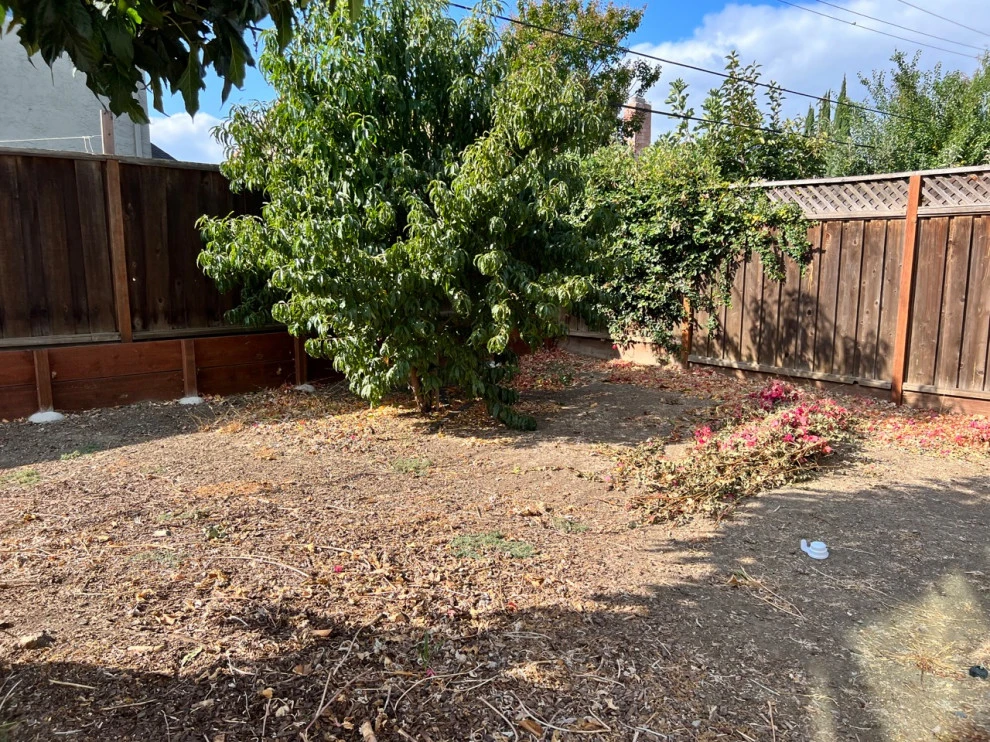 Backyard Remodel (Granite, Mulch, Outdoor Lighting, Grass, Turf, Shrubs) by San Jose Tree Service & Landscaping - Photo 11