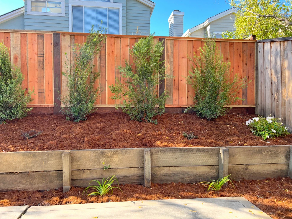 Backyard Transformation (Turf, Pavers, Shrubs, Fence) by San Jose Tree Service & Landscaping - Photo 8
