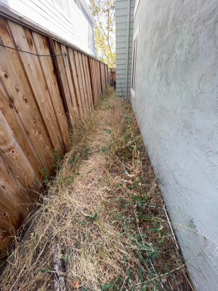 San Jose Tree Service & Landscaping - Photo 2