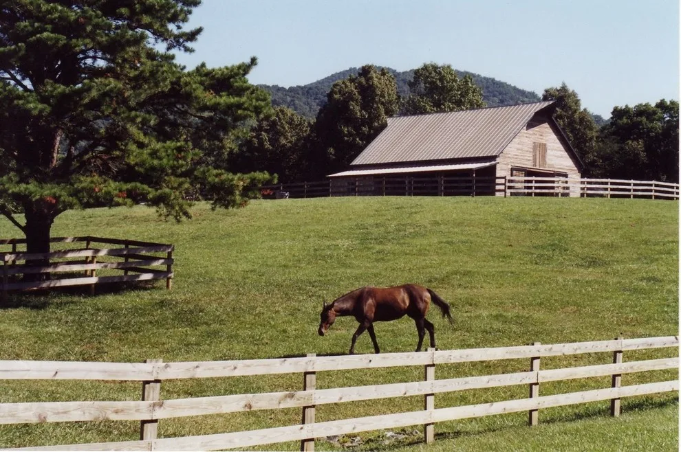 Rocky Depths Farm by Train Architects - Photo 4