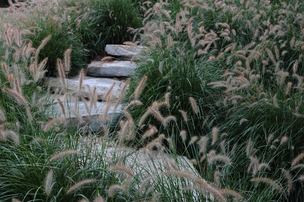 Stone Pathway and Woodland Garden by Land Architects, Inc. - Photo 4