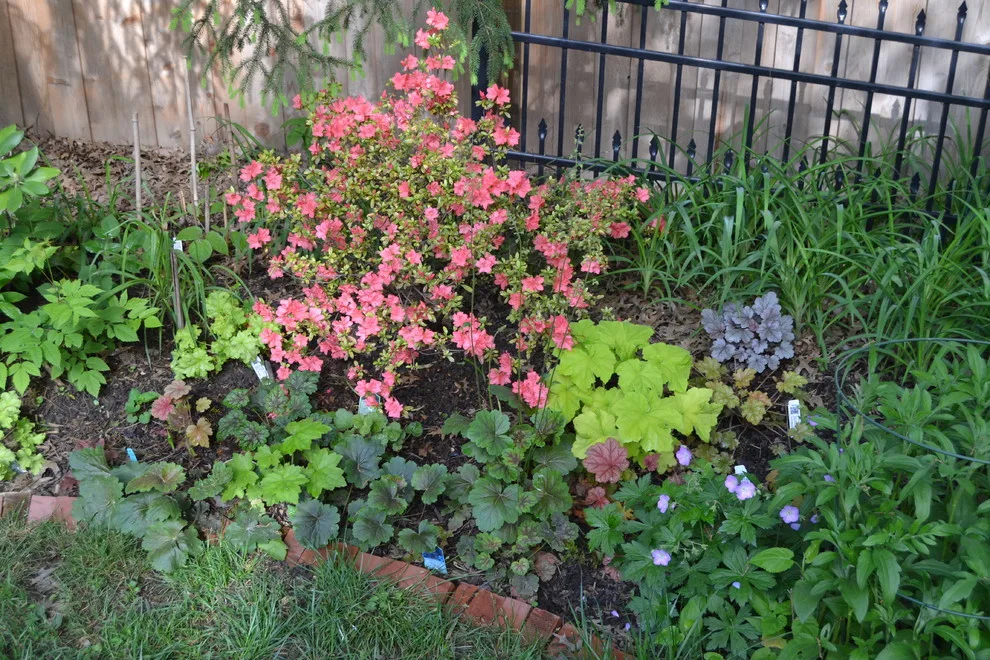 Woodland or Shade Garden DIY by Art & Architecture Inc - Photo 15