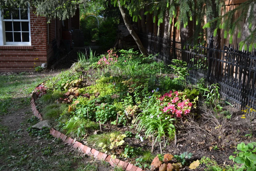 Woodland or Shade Garden DIY by Art & Architecture Inc - Photo 24
