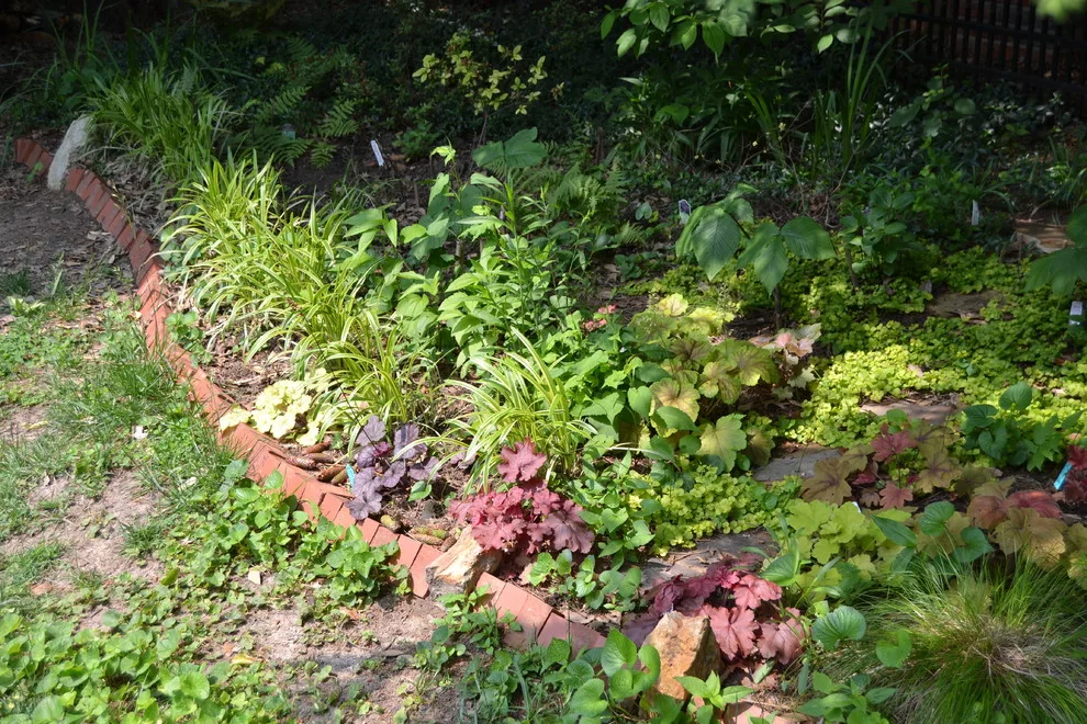 Woodland or Shade Garden DIY by Art & Architecture Inc - Photo 17