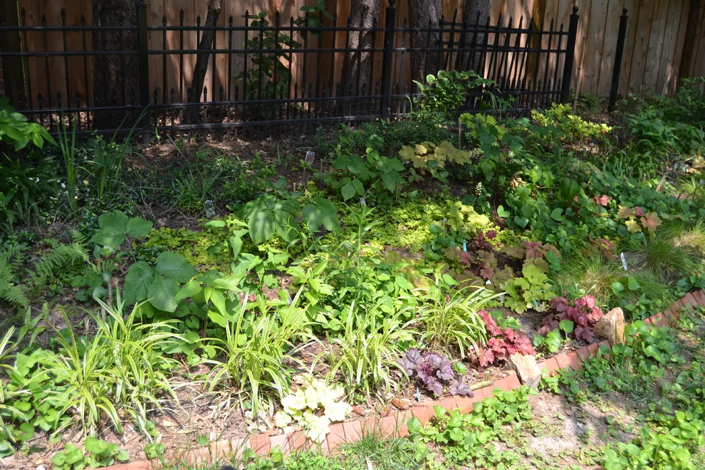 Woodland or Shade Garden DIY by Art & Architecture Inc - Photo 42