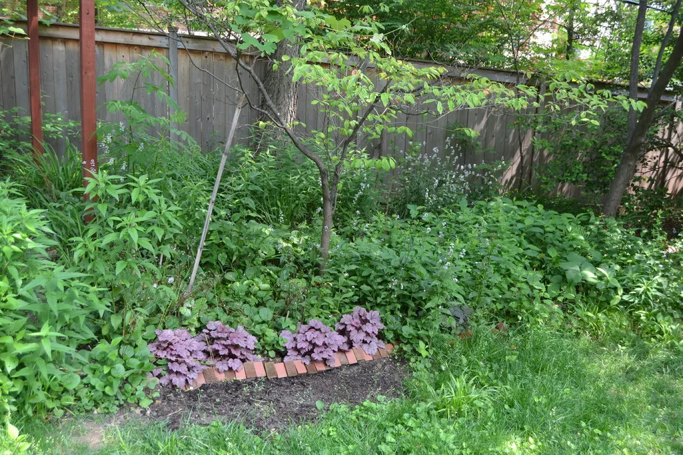 Woodland or Shade Garden DIY by Art & Architecture Inc - Photo 7