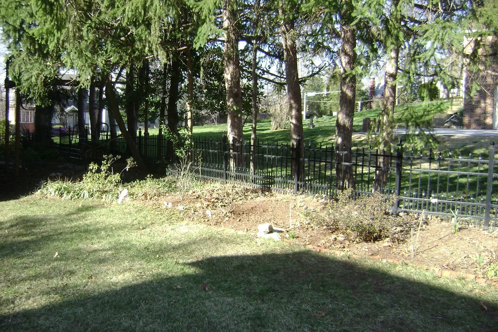 Woodland or Shade Garden DIY by Art & Architecture Inc - Photo 5