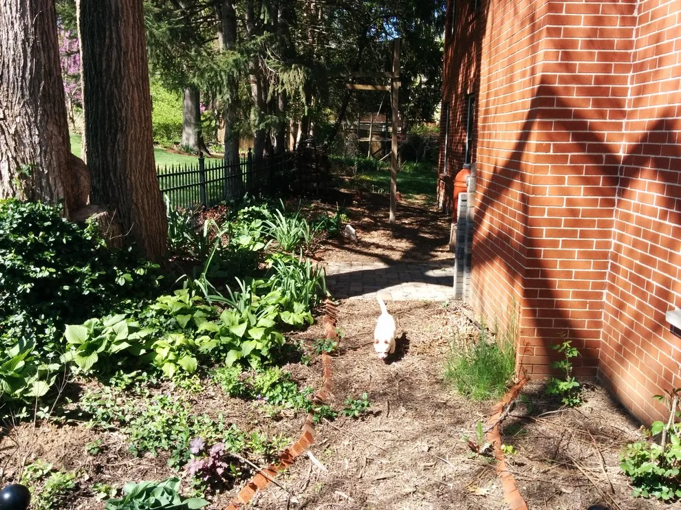 Woodland or Shade Garden DIY by Art & Architecture Inc - Photo 25