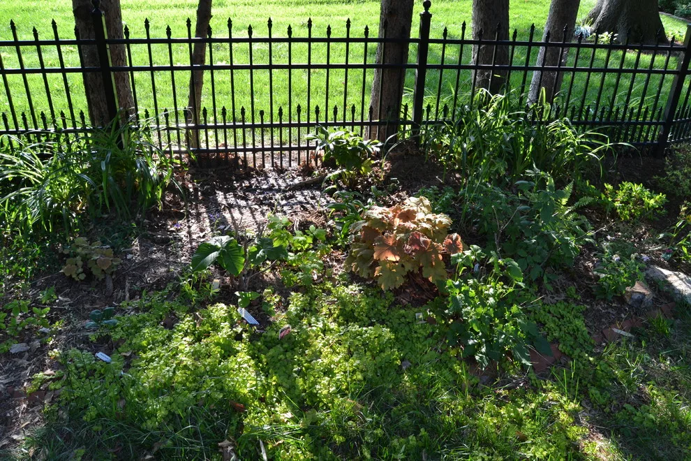 Woodland or Shade Garden DIY by Art & Architecture Inc - Photo 46