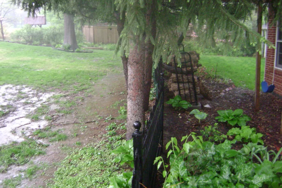 Woodland or Shade Garden DIY by Art & Architecture Inc - Photo 13