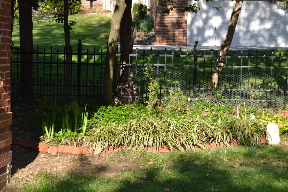 Woodland or Shade Garden DIY by Art & Architecture Inc - Photo 6