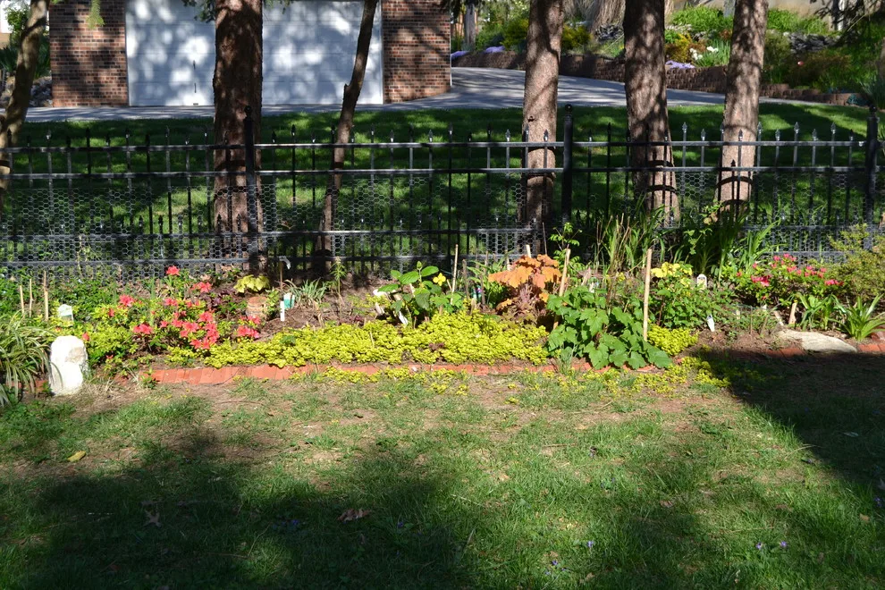 Woodland or Shade Garden DIY by Art & Architecture Inc - Photo 27