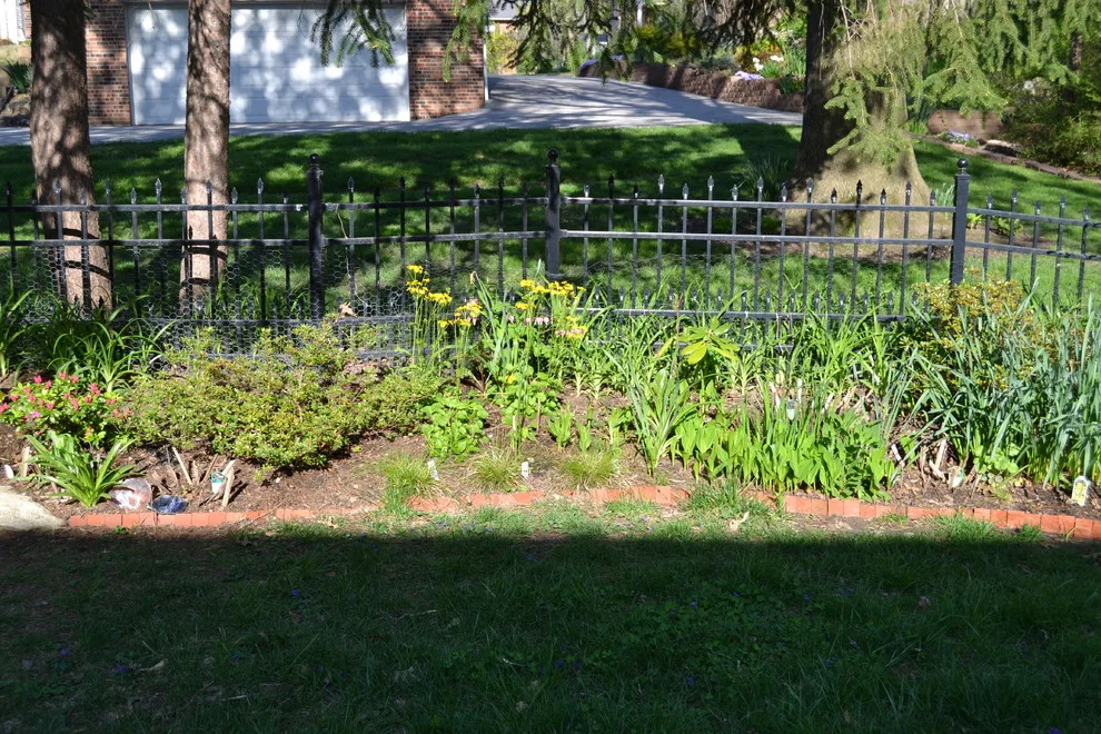 Woodland or Shade Garden DIY by Art & Architecture Inc - Photo 47