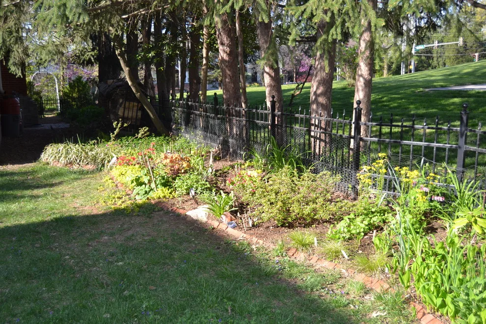 Woodland or Shade Garden DIY by Art & Architecture Inc - Photo 9