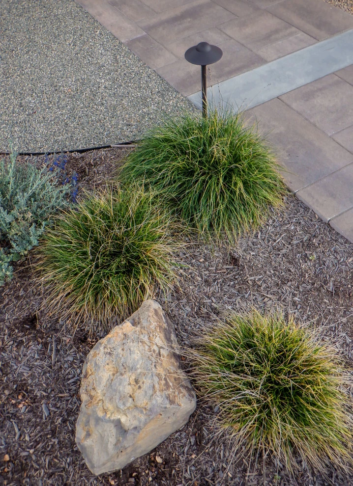 Sappanwood by Scarlett's Landscape, Inc. - Photo 6