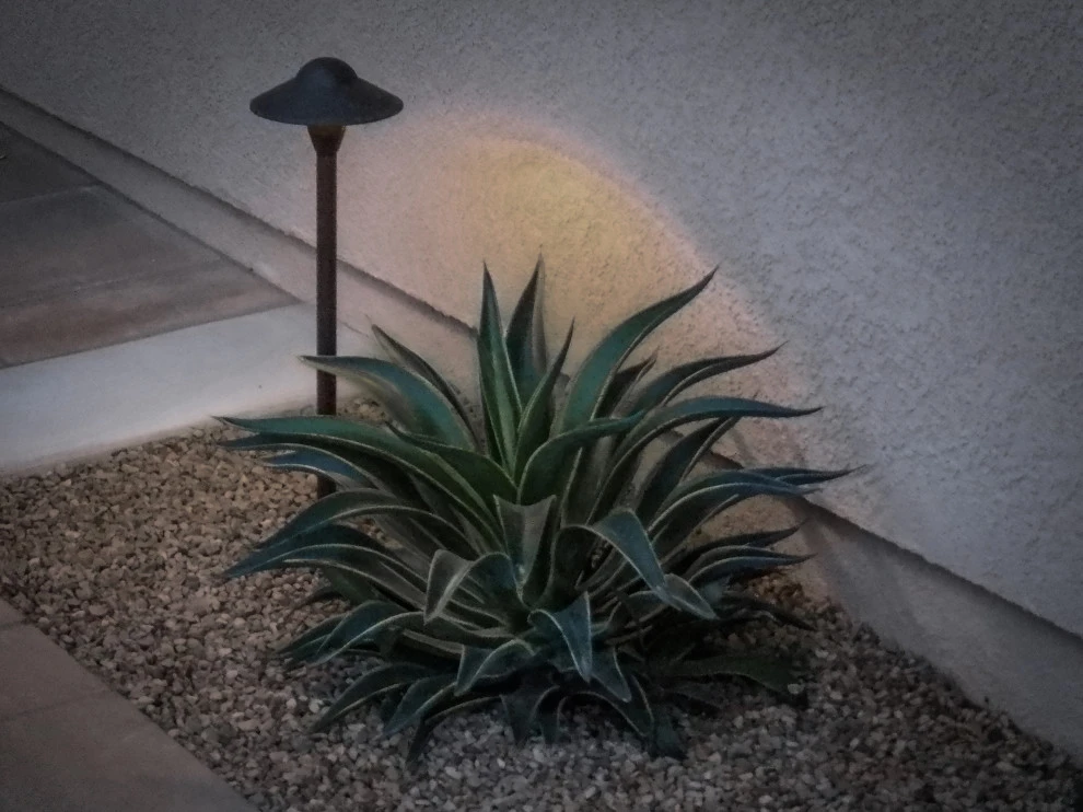 Sappanwood by Scarlett's Landscape, Inc. - Photo 19