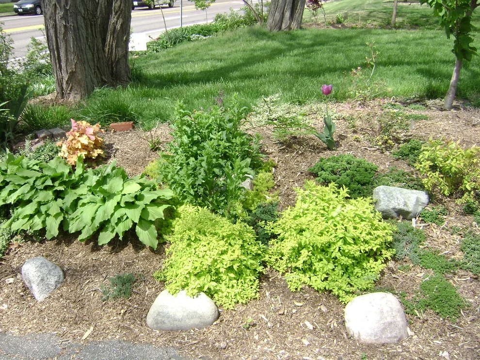 Creative Landscaping Without Retaining Walls or Curbs by Art & Architecture Inc - Photo 4