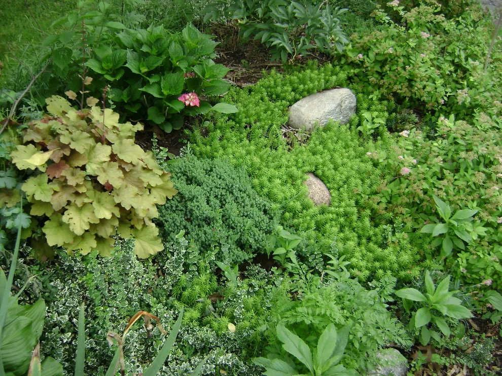 Creative Landscaping Without Retaining Walls or Curbs by Art & Architecture Inc - Photo 5