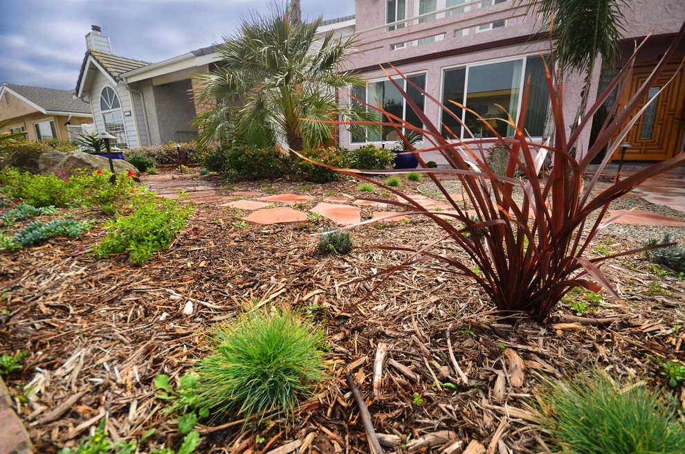 Oxnard Front Yard Refresh by Scarlett's Landscape, Inc. - Photo 8