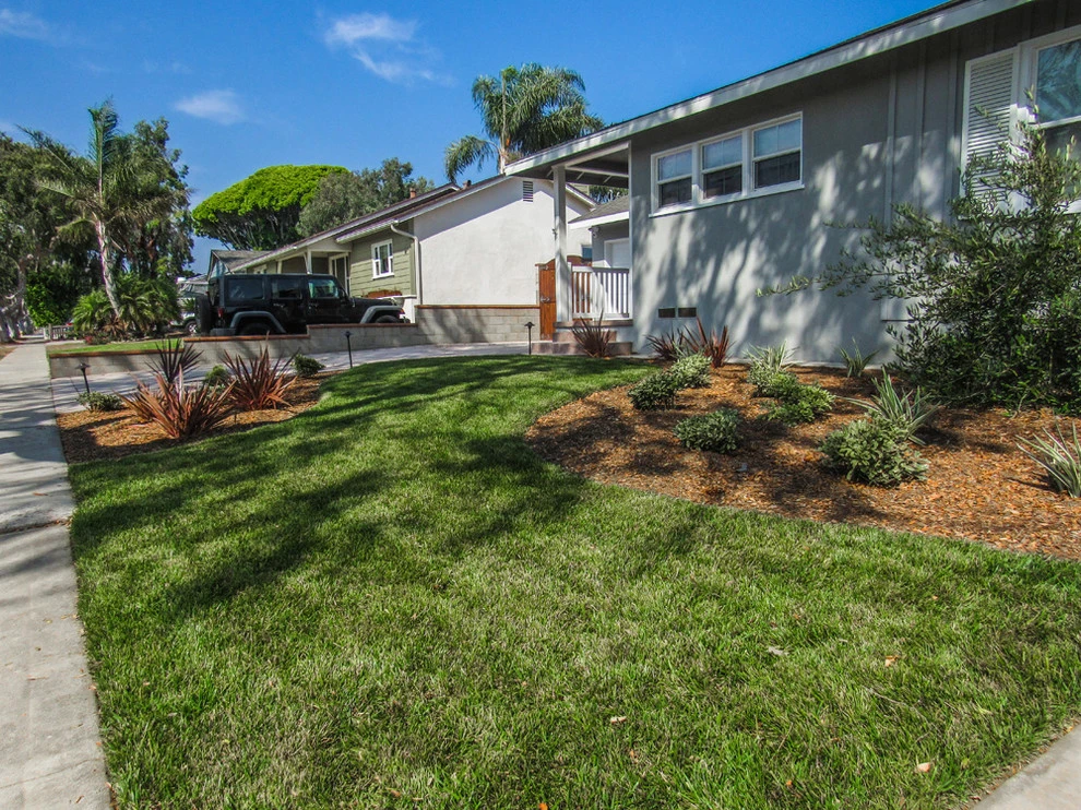 Dos Caminos by Scarlett's Landscape, Inc. - Photo 12