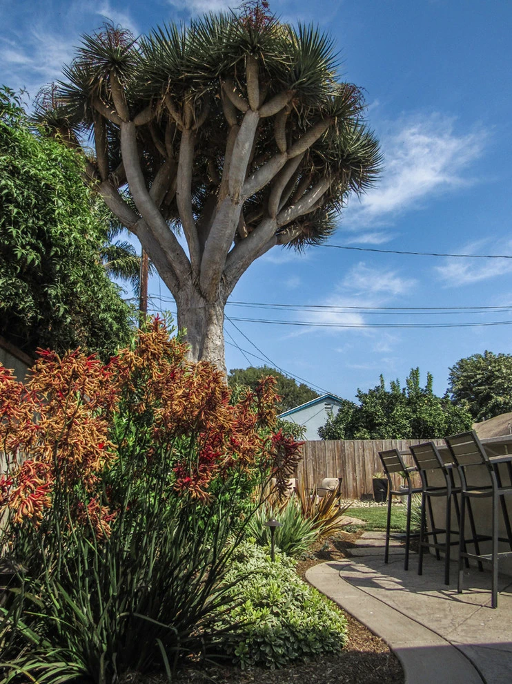 Dos Caminos by Scarlett's Landscape, Inc. - Photo 19