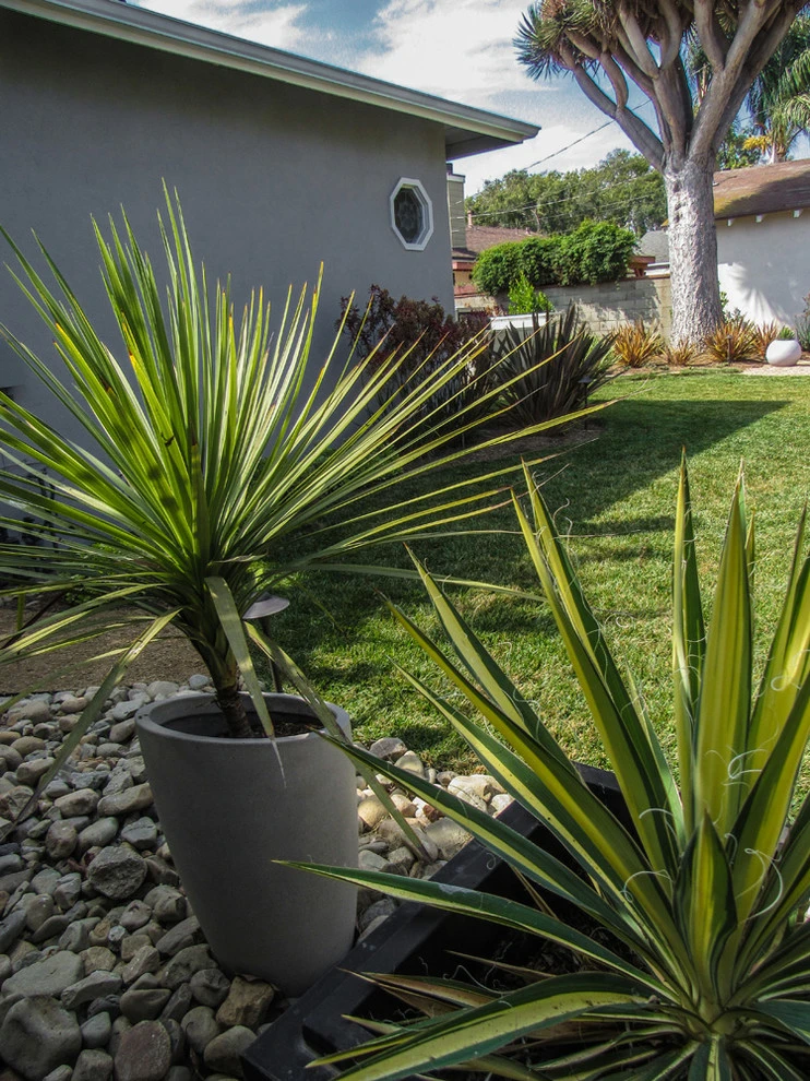 Dos Caminos by Scarlett's Landscape, Inc. - Photo 5