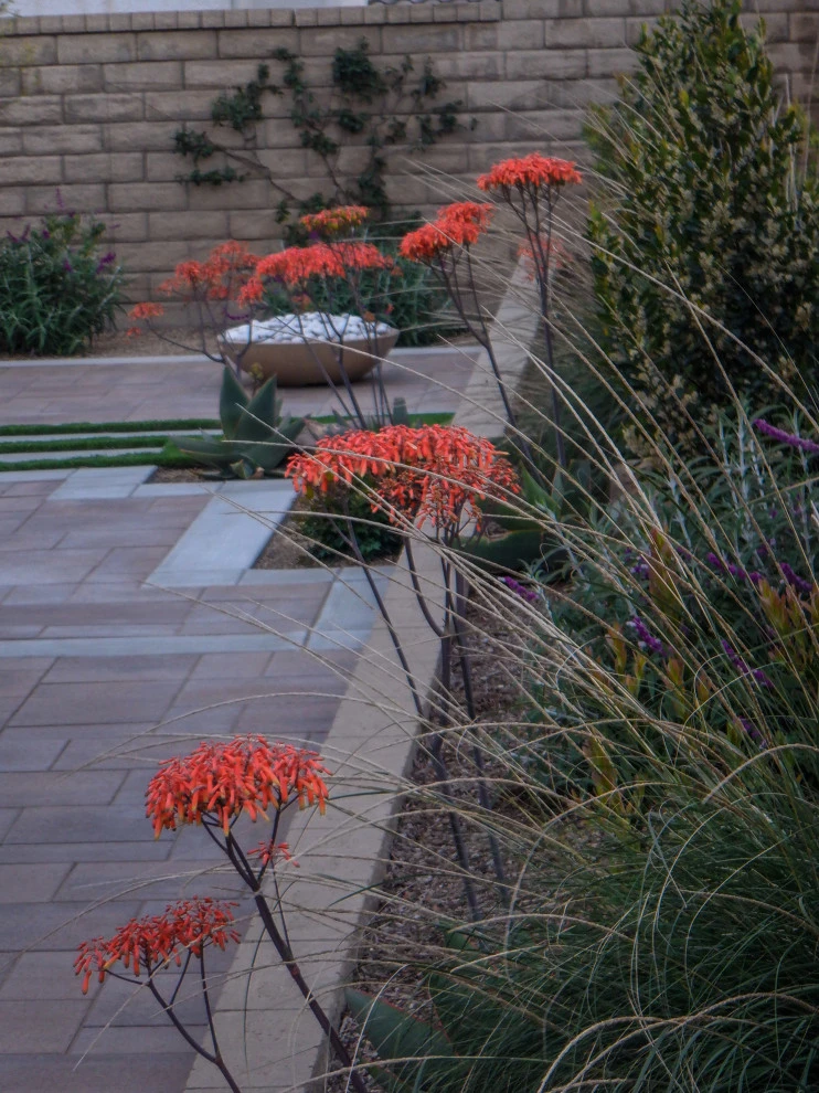 Sappanwood by Scarlett's Landscape, Inc. - Photo 25