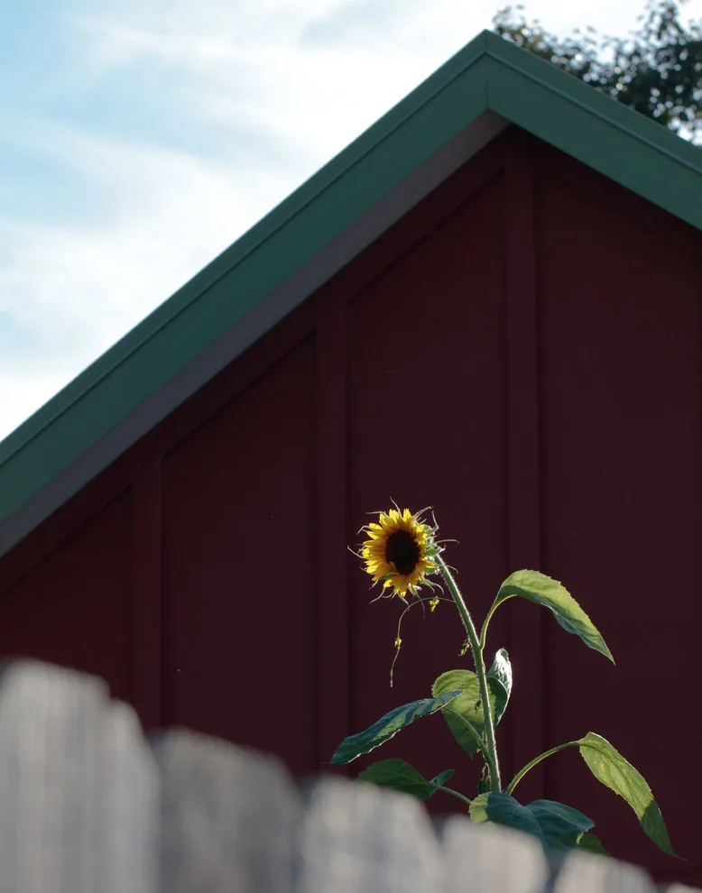 Sustainable Learning Center by Peckham Architecture - Photo 9