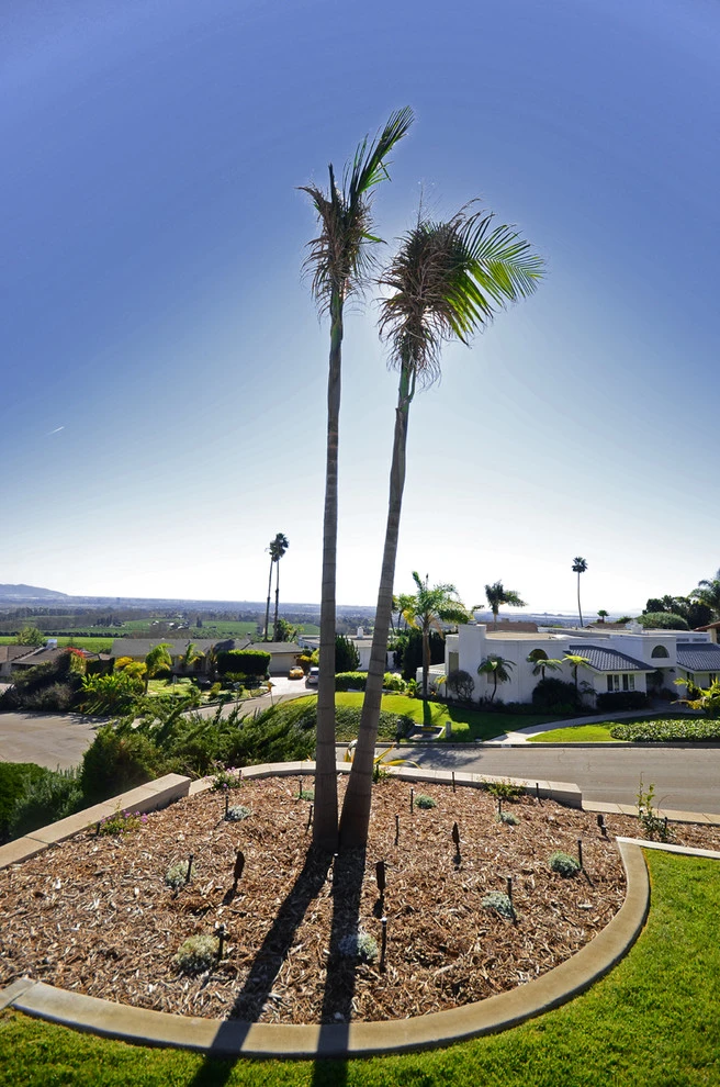 Ventura View Landscape by Scarlett's Landscape, Inc. - Photo 2