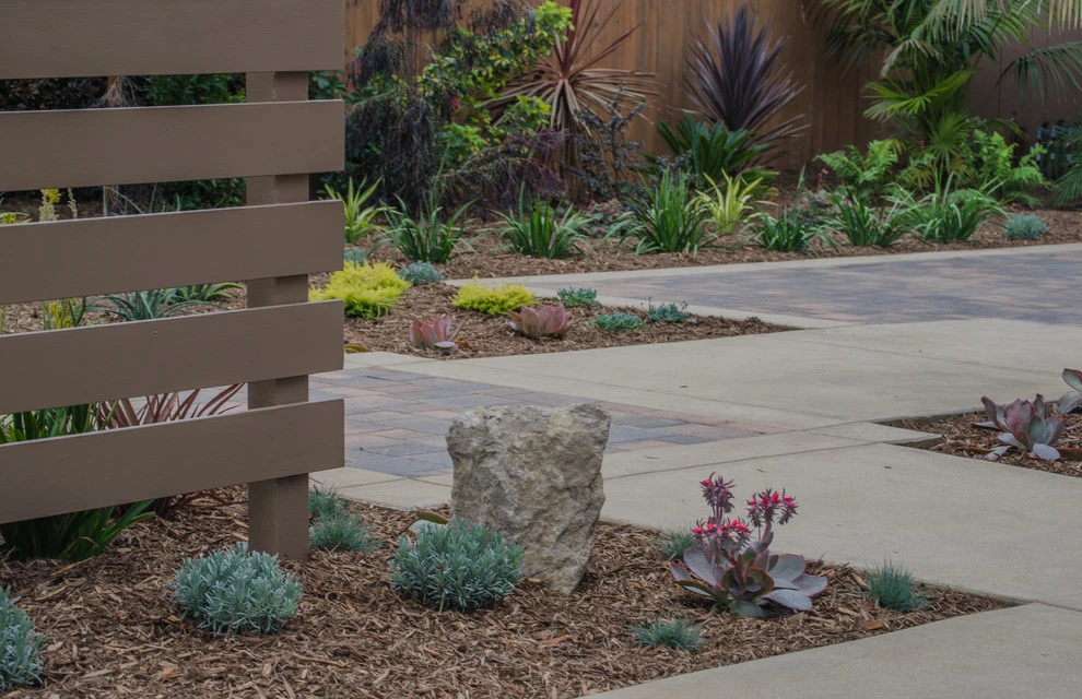 Carpinteria Modern Front Yard Upgrade by Scarlett's Landscape, Inc. - Photo 2