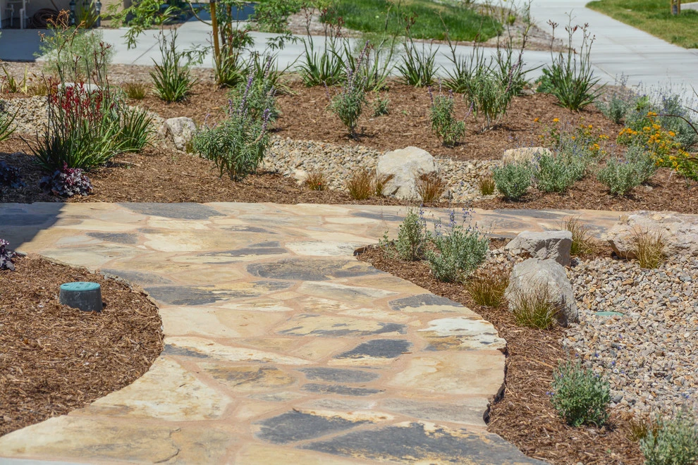 Drought Friendly in Fillmore by Scarlett's Landscape, Inc. - Photo 2