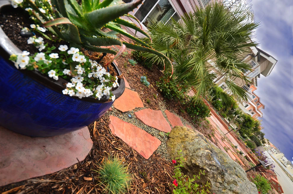 Oxnard Front Yard Refresh by Scarlett's Landscape, Inc. - Photo 7