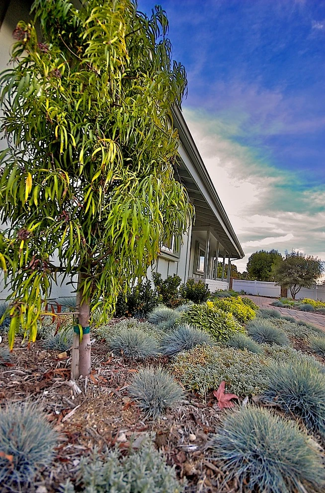 Ventura Ranch House Remodel by Scarlett's Landscape, Inc. - Photo 16