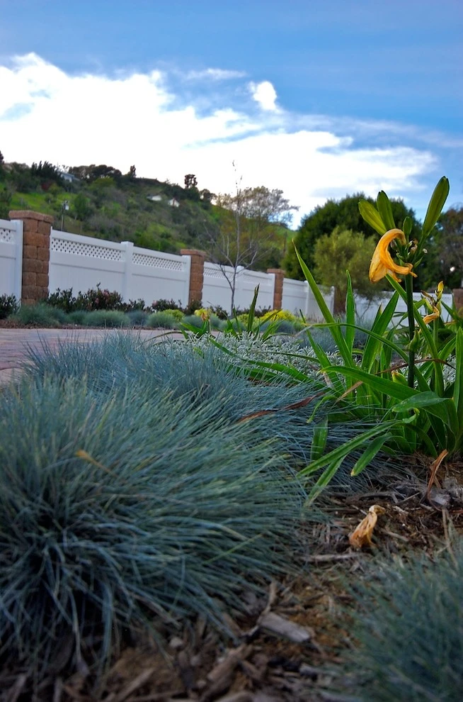 Ventura Ranch House Remodel by Scarlett's Landscape, Inc. - Photo 15