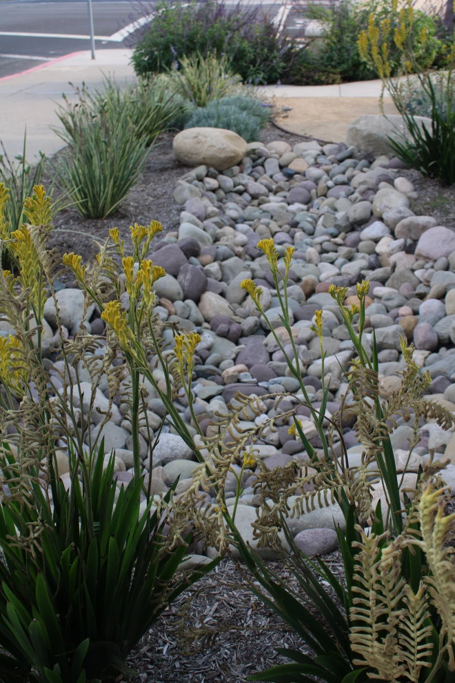 Santa Clara by Scarlett's Landscape, Inc. - Photo 6