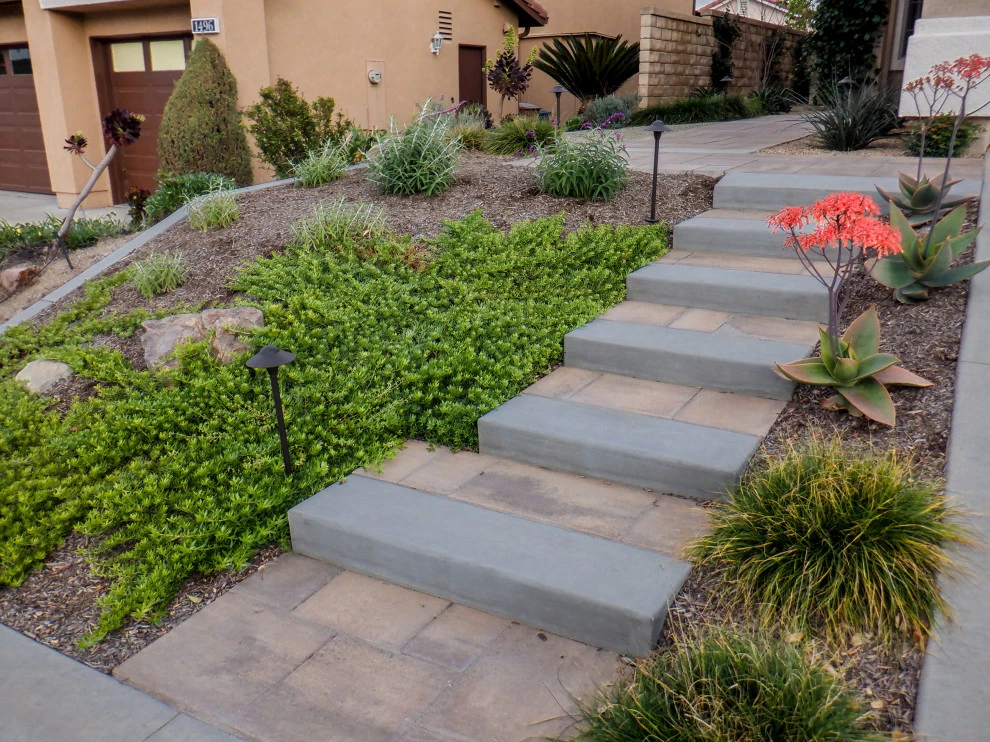 Sappanwood by Scarlett's Landscape, Inc. - Photo 9