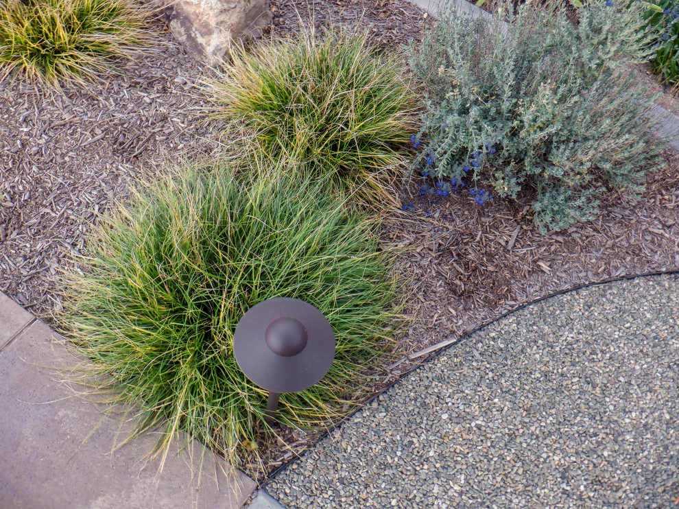 Sappanwood by Scarlett's Landscape, Inc. - Photo 4