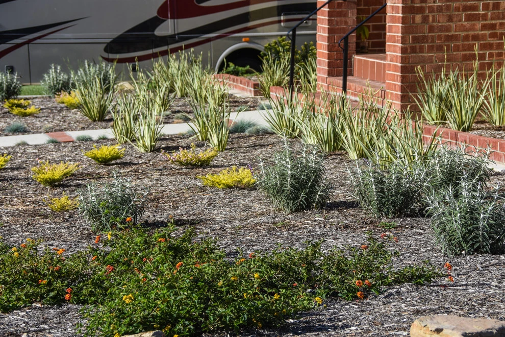 Ventura Drought Friendly Landscape by Scarlett's Landscape, Inc. - Photo 3
