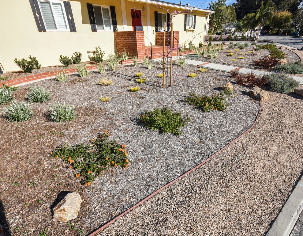 Ventura Drought Friendly Landscape by Scarlett's Landscape, Inc. - Photo 8