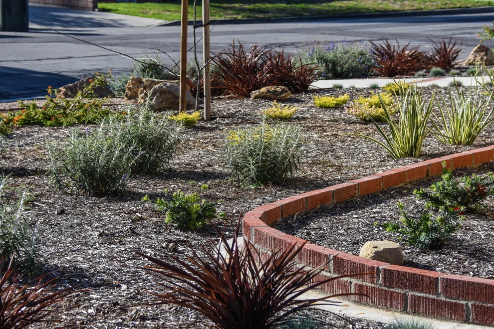Ventura Drought Friendly Landscape by Scarlett's Landscape, Inc. - Photo 2