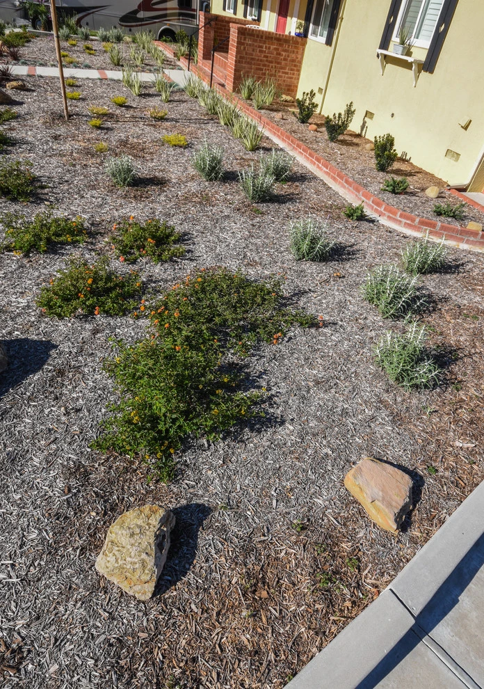 Ventura Drought Friendly Landscape by Scarlett's Landscape, Inc. - Photo 7