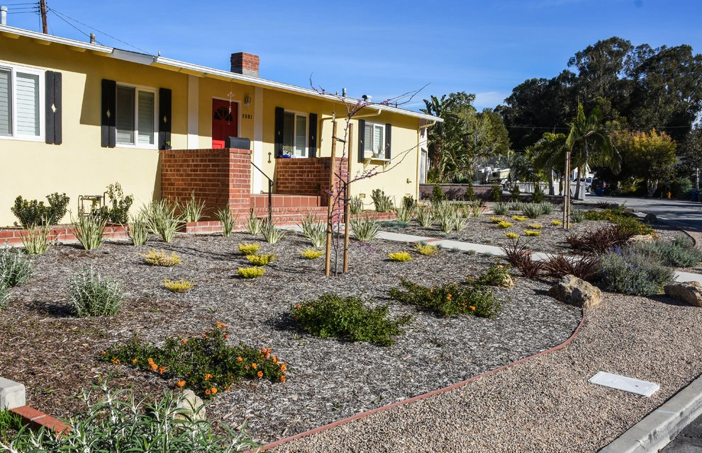 Ventura Drought Friendly Landscape by Scarlett's Landscape, Inc. - Photo 6