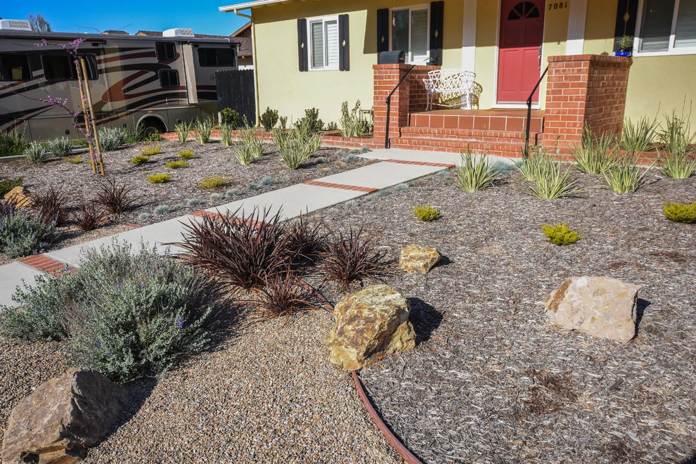 Ventura Drought Friendly Landscape by Scarlett's Landscape, Inc. - Photo 5