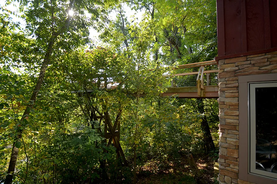 Ewing Residence New Build by BRYArchitecture - Photo 5