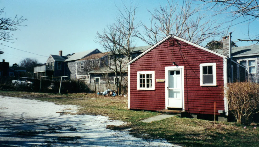 outdoor design / transformation by Barnett Adler - Photo 5