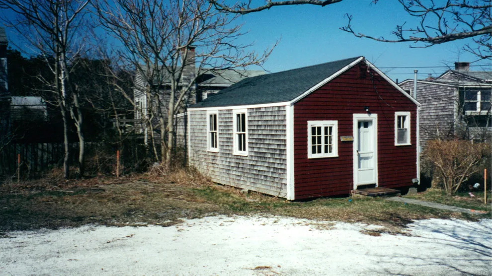 outdoor design / transformation by Barnett Adler - Photo 22