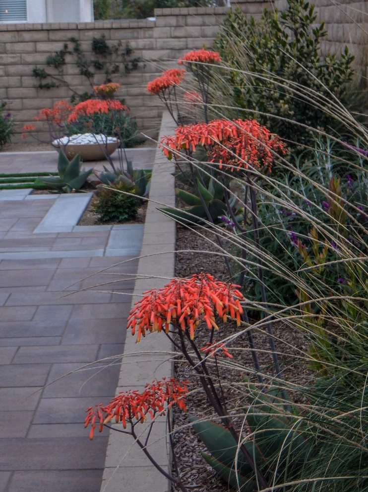 Sappanwood by Scarlett's Landscape, Inc. - Photo 24