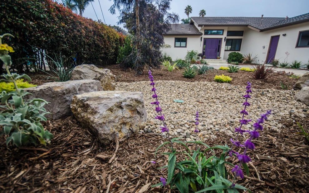 Carpinteria Modern Front Yard Upgrade by Scarlett's Landscape, Inc. - Photo 15