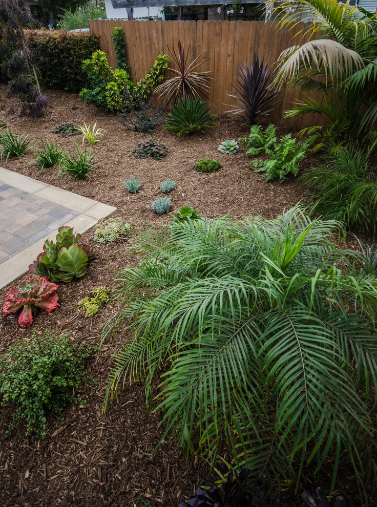 Carpinteria Modern Front Yard Upgrade by Scarlett's Landscape, Inc. - Photo 8